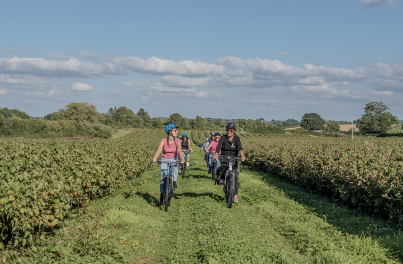 white_heron_bike_tour