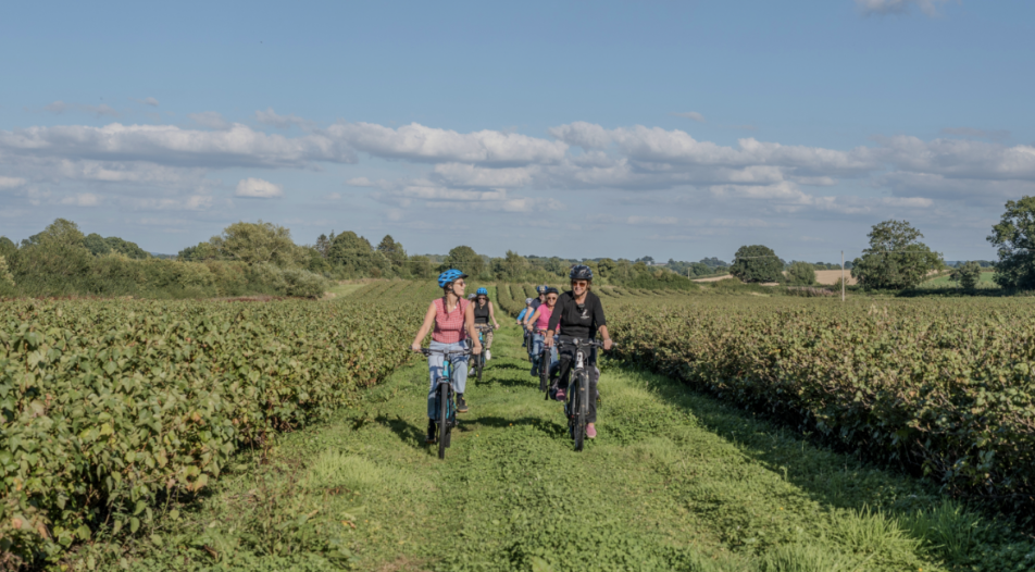 white_heron_bike_tour